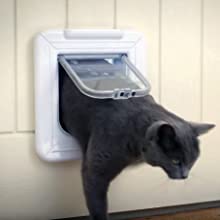 Cat Mate C200 Timed Automatic Pet Feeder with Ice Packs