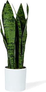  flybold Artificial Fake Snake Plants - Faux Indoor Plant -  Modern Decor Artificial House Plant - Large Faux Sansevieria Plant with 28  Tall Leaves - Includes White Pot and Tripod 