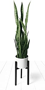 flybold Fake Snake Plant Faux Snake Plant,Large Faux Sansevieria Plant  Artificial with 7 Tall Leaves Thick Durable Pot for Indoor Modern Decor  Mother in Law Tongue Plant (Green, 16 Inch) : 