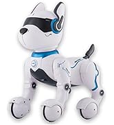 Remote Control Robot Dog Toy, Robots For Kids, Rc Dog Robot Toys For Kids  3,4,5,6,7,8,9,10 – Kidzlane