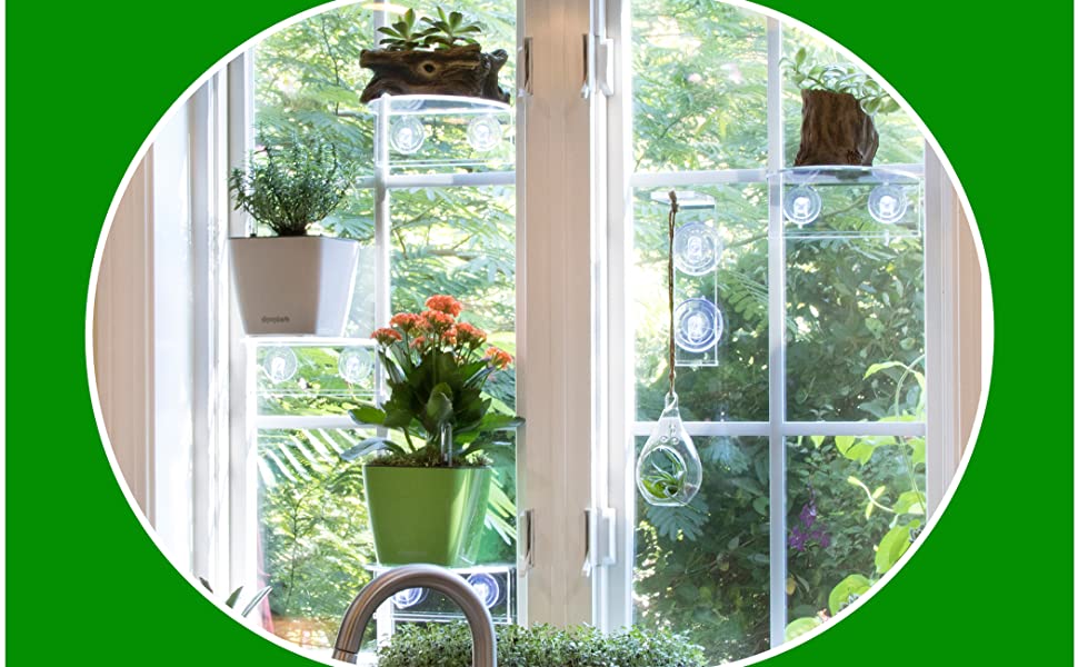 Window Garden Ledge Legs Suction Cup Window Shelf Support, 1 Pack : Target