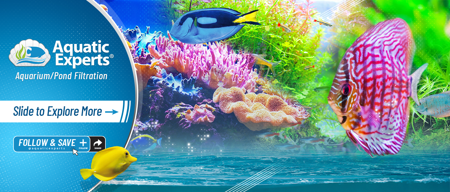 Cloward H2O celebrates success of Bass Pro Shop aquariums